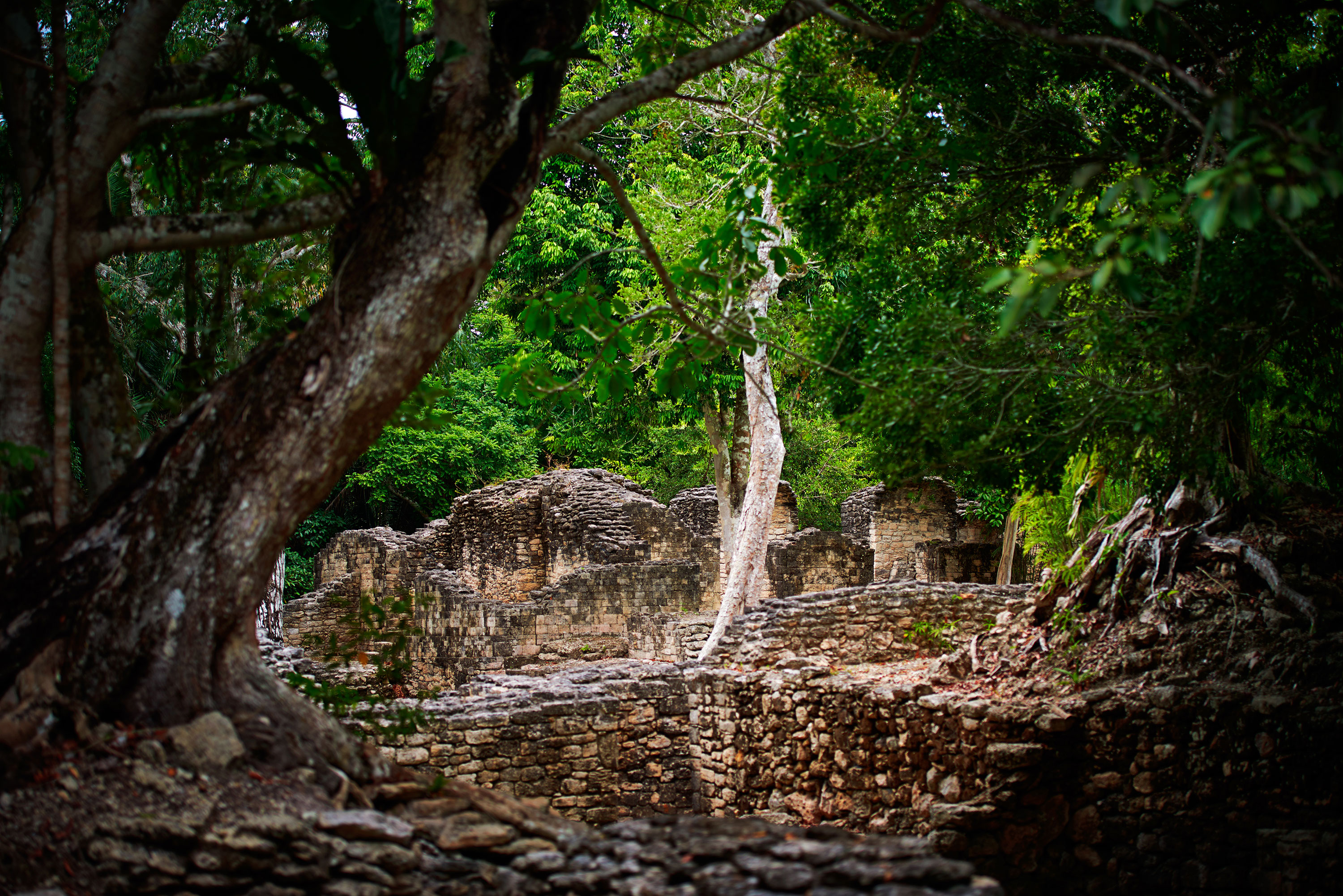kohunlich mayan ruins