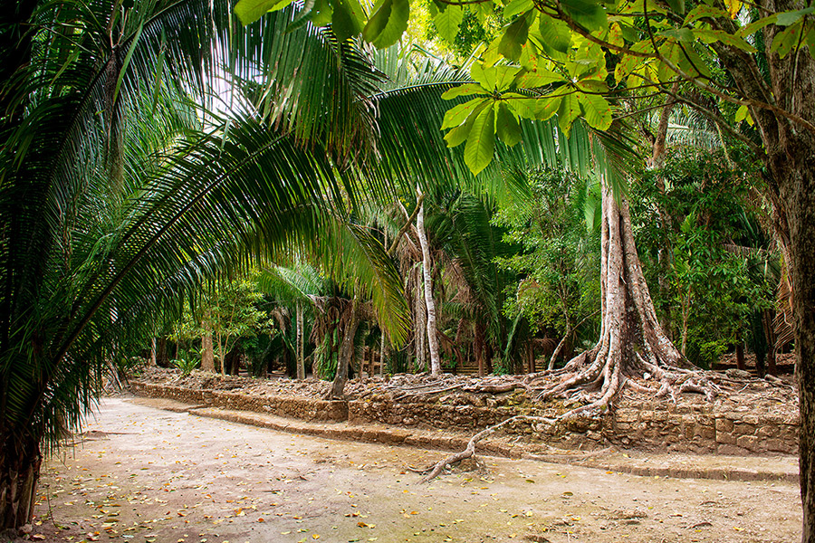 Las Vias jungle trail