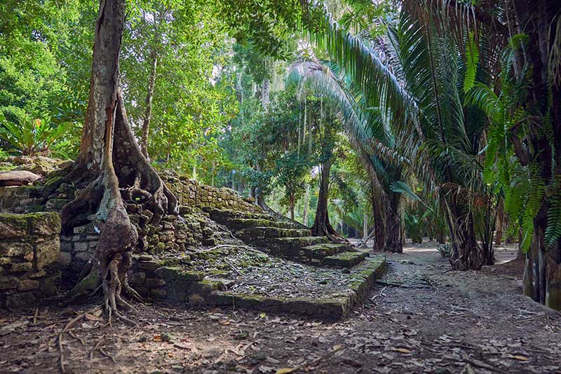 Las Vias Chacchoben Ruins